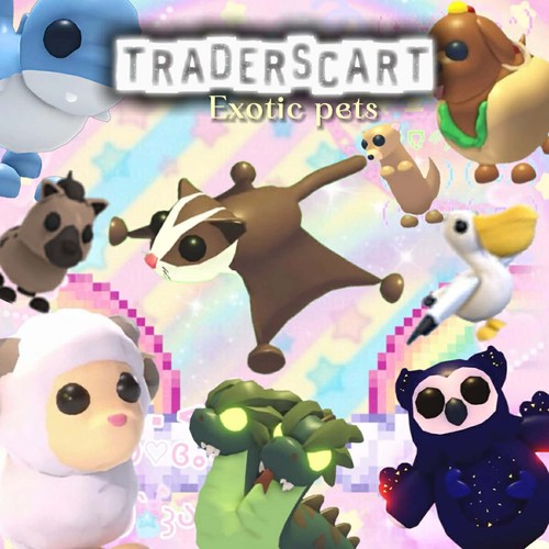 Adopt exotic pets - exotic,